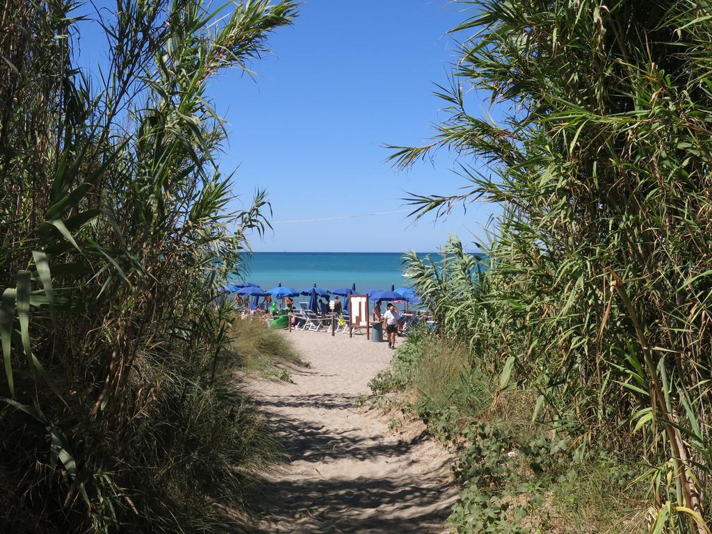 Camping Village Baia Del Marinaio Vada Eksteriør billede